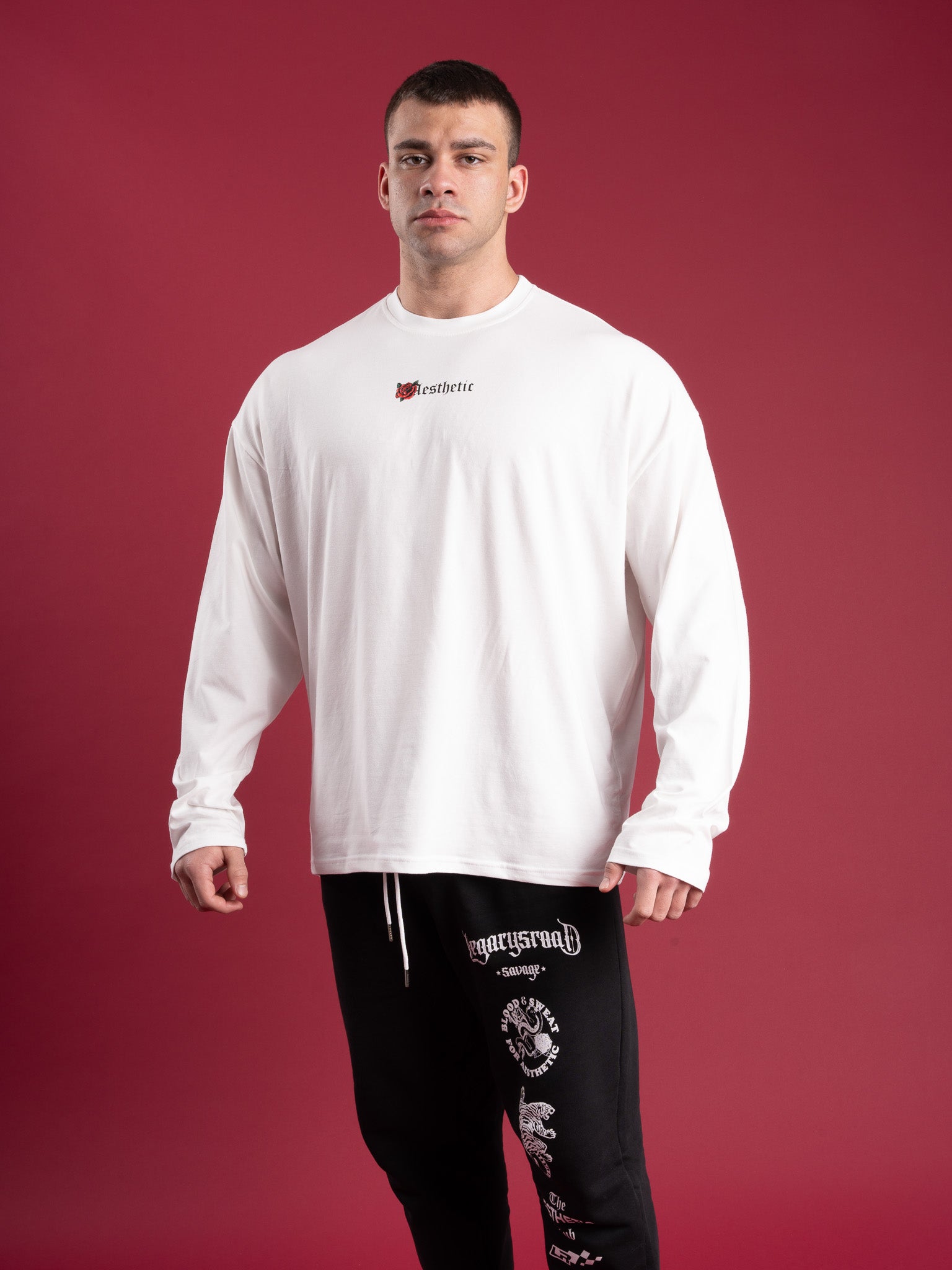 Aestehetic Oversize Long Sleeves